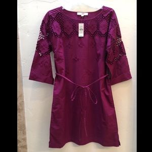 Loft | Lace shift dress